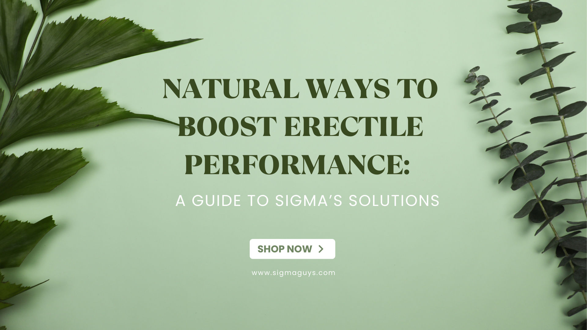 Sigma Guys's Guide to Natural Ways to Boost Erectile Performance